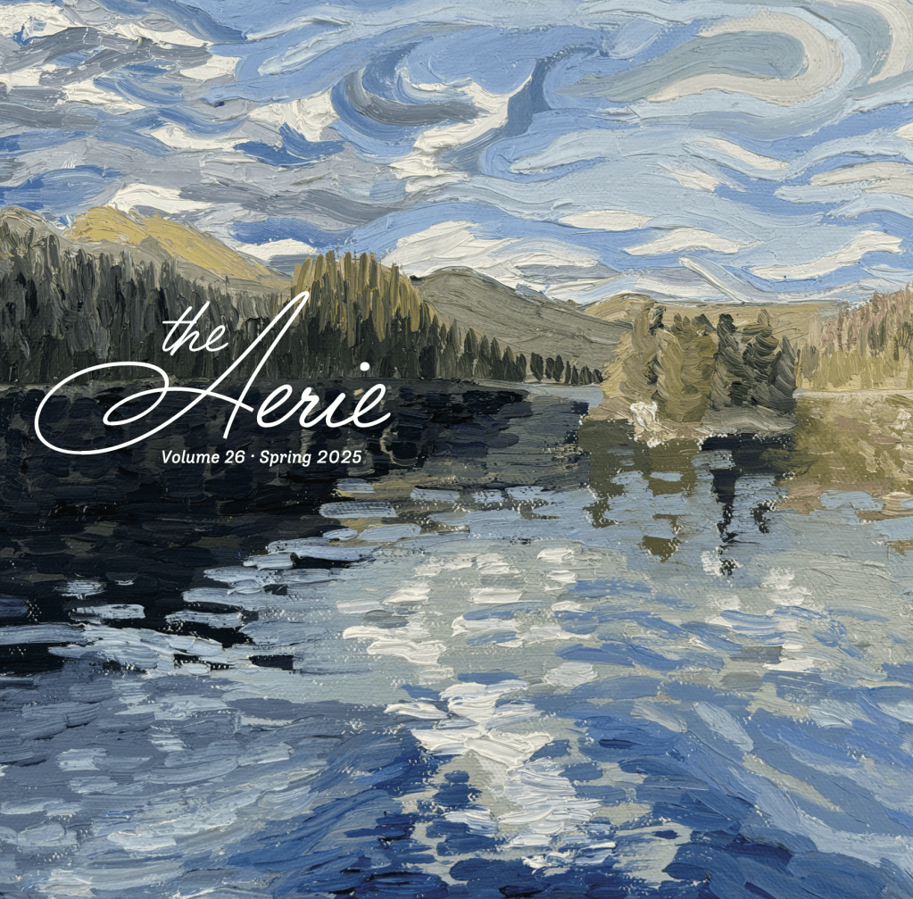The Aerie 2025 –&nbsp;Complete!